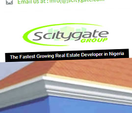 scitygate website design Nigeria